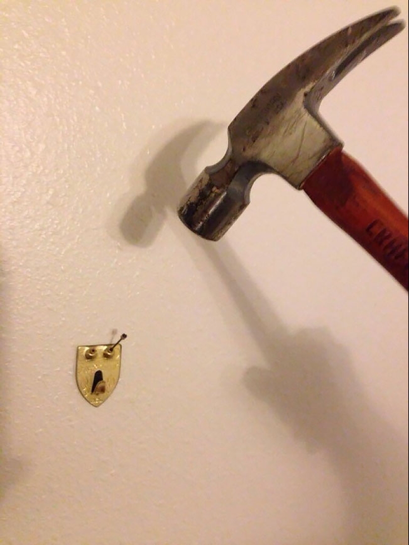 What are the wires like? 22 tests for a developed imagination What are the wires like? 22 tests for a developed imagination