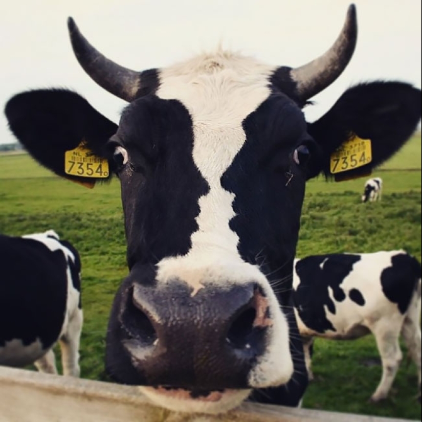 What are the wires like? 22 tests for a developed imagination What are the wires like? 22 tests for a developed imagination