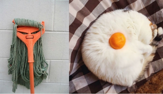 What are the wires like? 22 tests for a developed imagination