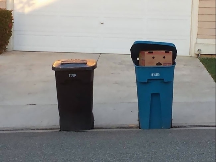 What are the wires like? 22 tests for a developed imagination What are the wires like? 22 tests for a developed imagination