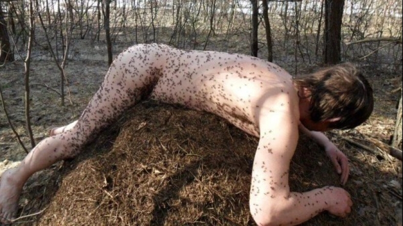 What are you doing here?" 22 strange photos that will puzzle anyone