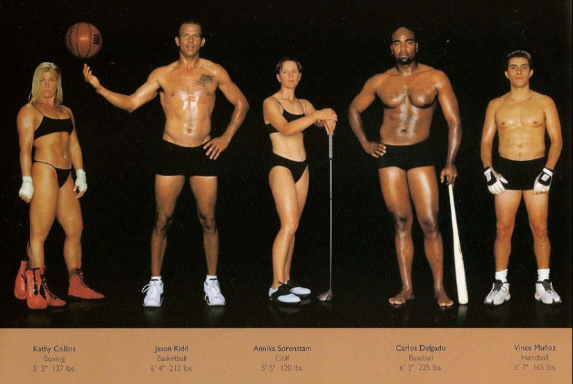 What do athletes' bodies look like in different sports?