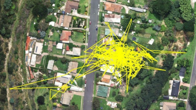 What do cats do at night while you sleep What do cats do at night while you sleep