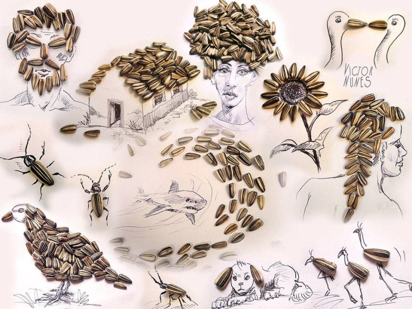 What do drawings of food and improvised items look like