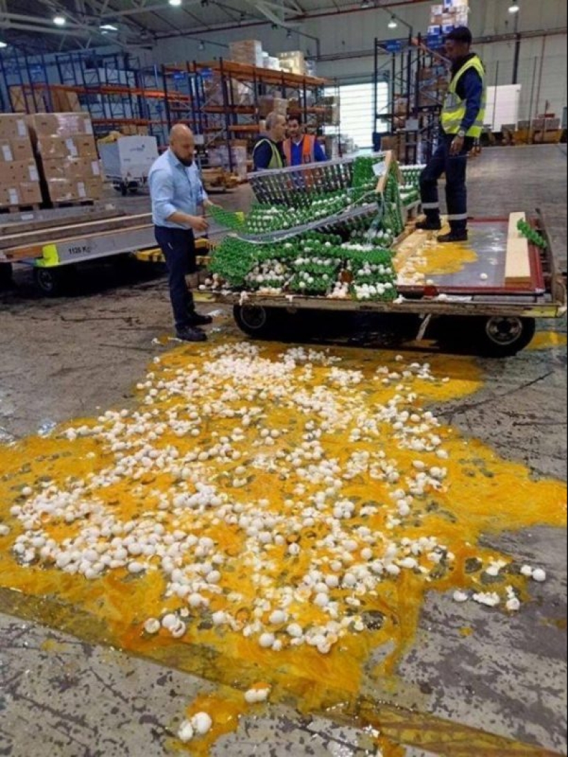 What do you know about bad luck?! 20 people who were having a really bad day What do you know about bad luck?! 20 people who were having a really bad day