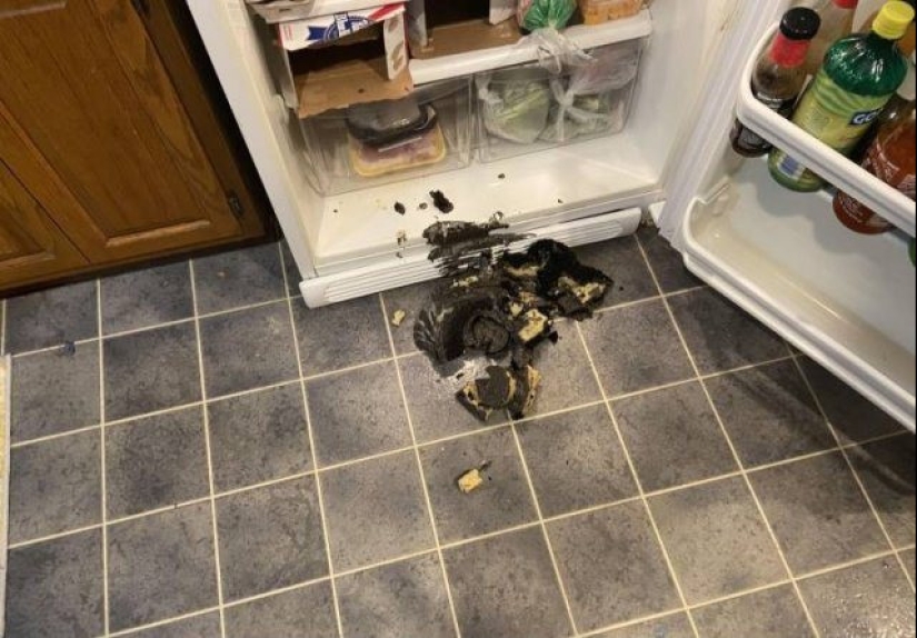 What do you know about bad luck?! 20 people who were having a really bad day What do you know about bad luck?! 20 people who were having a really bad day