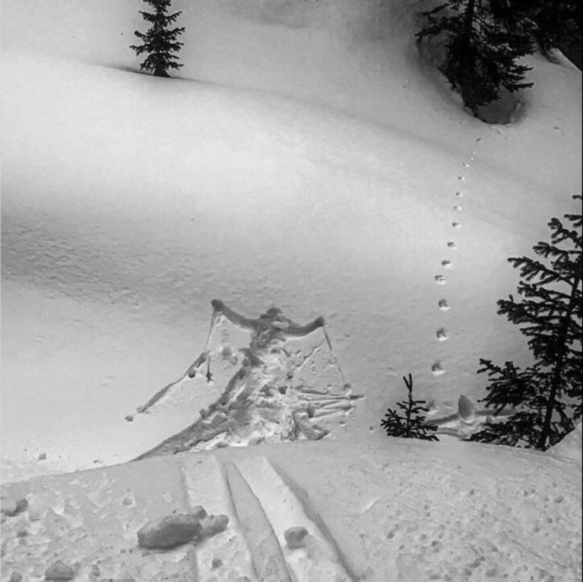 What do you know about the failures? These 20 pictures will prove nothing