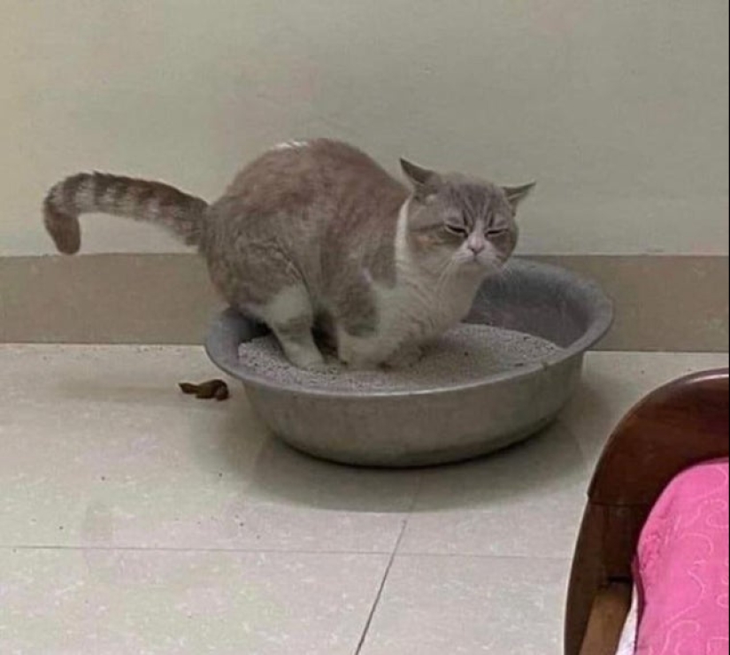 What do you know about the failures? These 20 pictures will prove nothing