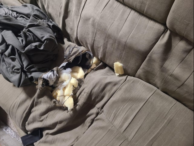 What do you know about failures? 22 photos from real "lucky people" What do you know about failures? 22 photos from real "lucky people"