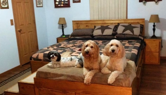 What does a special bed with a sleeping place for pets look like? What does a special bed with a sleeping place for pets look like?