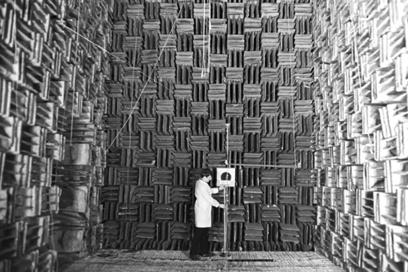 What does the quietest place on Earth look like, where the absence of sounds drives you crazy?