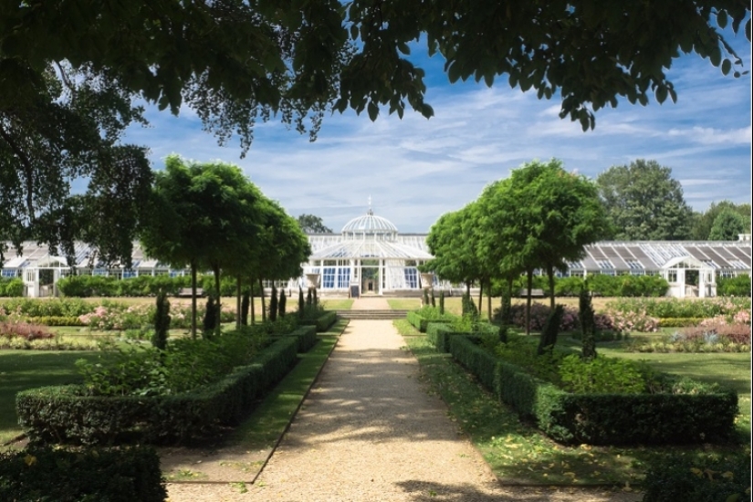 What does the rarest and most expensive flower in the world look like What does the rarest and most expensive flower in the world look like