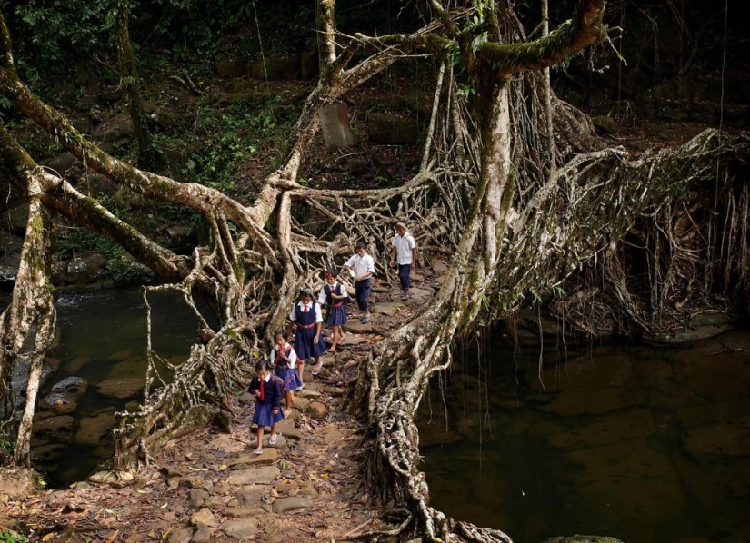 What does the wettest place on Earth look like, a town in the Indian state of Meghalaya