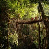 What does the wettest place on Earth look like, a town in the Indian state of Meghalaya