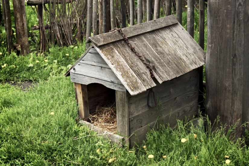 What happened to Dusya Merzlyakova, whom her own mother kept on a chain What happened to Dusya Merzlyakova, whom her own mother kept on a chain