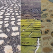 What happens to the soil when it freezes, then thaws