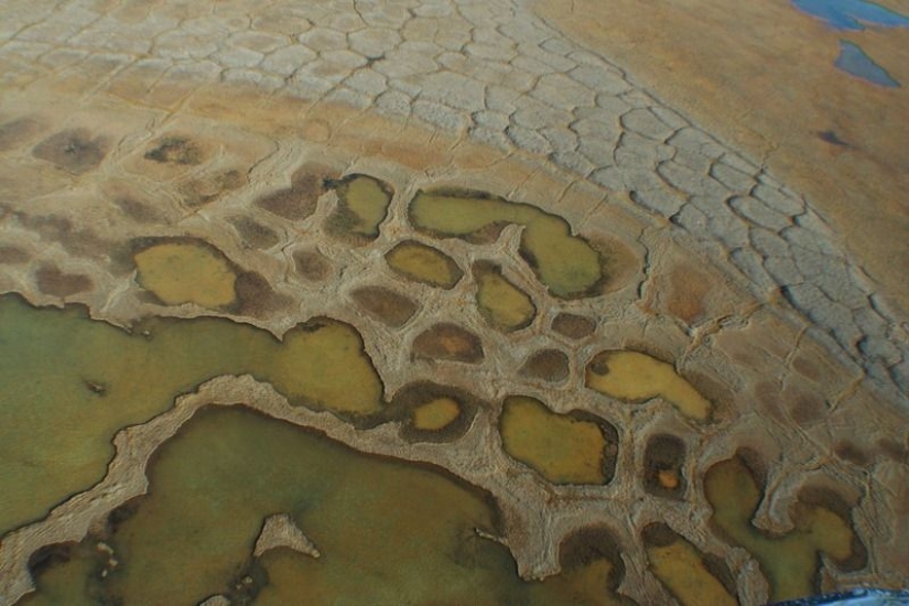 What happens to the soil when it freezes, then thaws