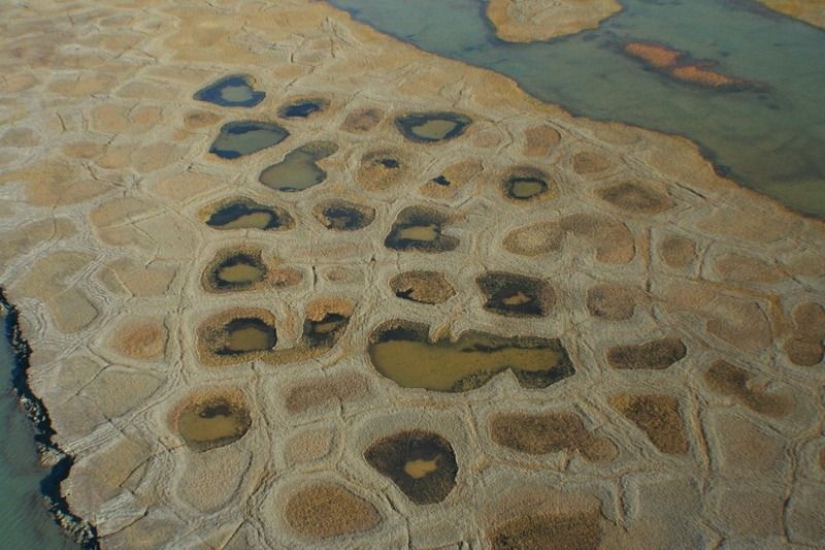 What happens to the soil when it freezes, then thaws