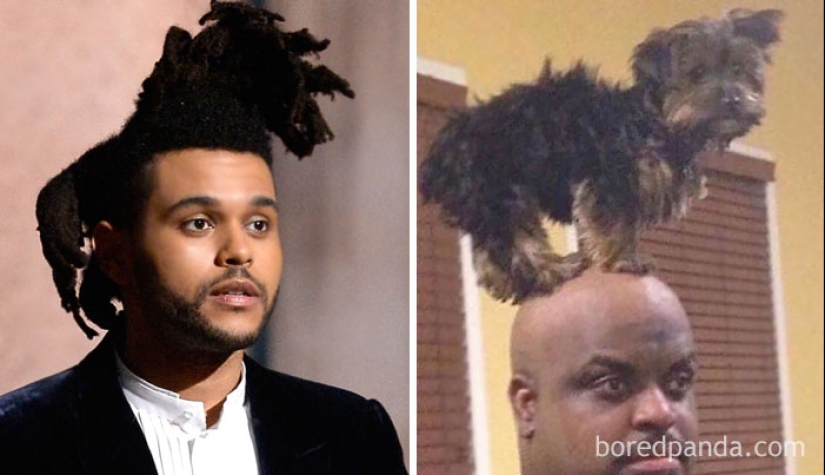 What inspires people to wild outfits and hairstyles — a cleaning brush, a string bag and a broken phone What inspires people to wild outfits and hairstyles — a cleaning brush, a string bag and a broken phone