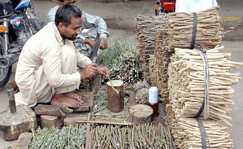 What is a miswak and can it replace our toothbrush What is a miswak and can it replace our toothbrush