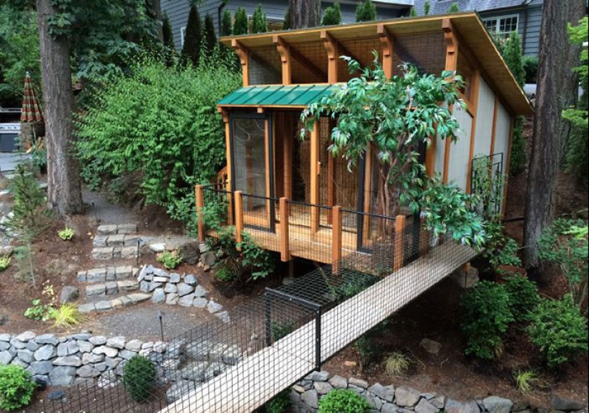 What is and is Koti, Playground for cats outdoors