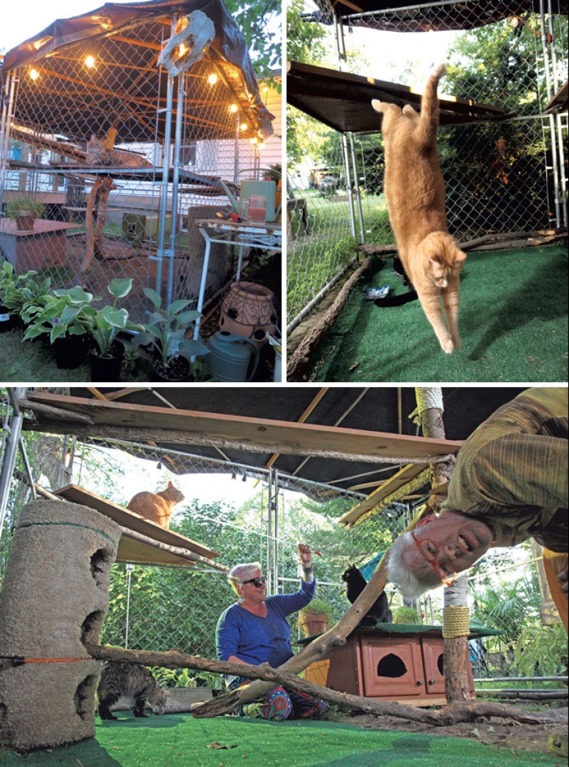 What is and is Koti, Playground for cats outdoors