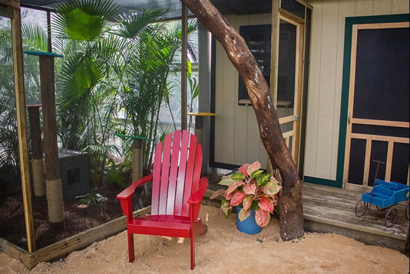 What is and is Koti, Playground for cats outdoors