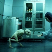 What is CRISPR and why is this biotechnology bringing the future closer