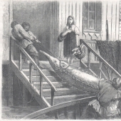 What is good for a Russian... Sketches of foreigners who visited Russia in the middle of the XIX century