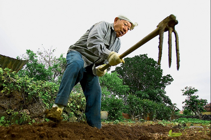 What is the "Blue Zones Effect": Secrets of Long-Livers from the 5 Healthiest Places on the Planet