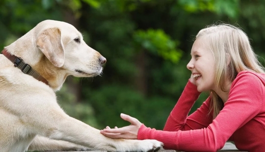 What is the dog talking to you about