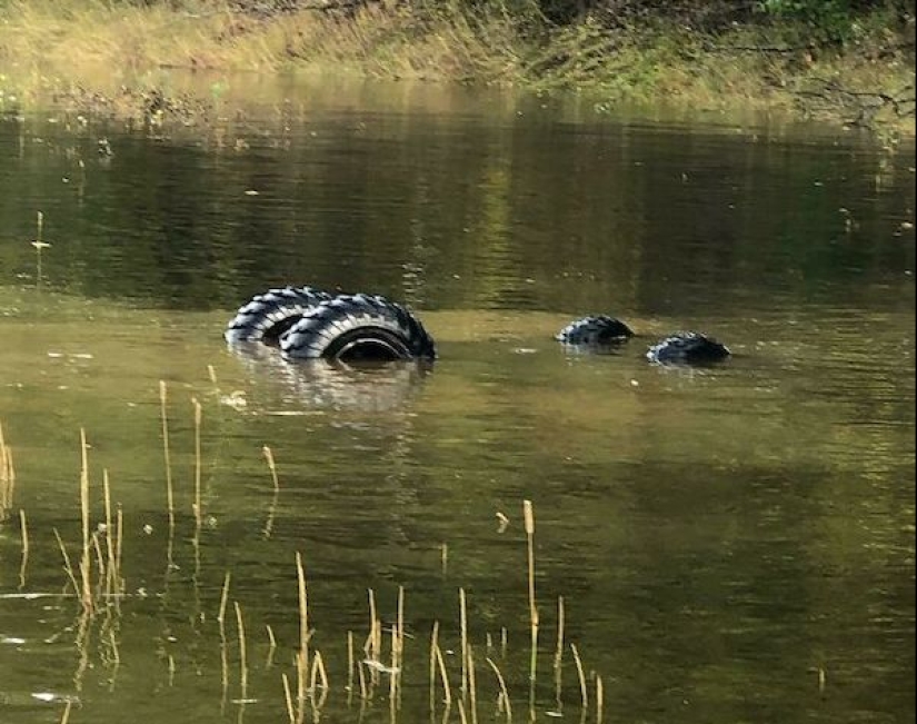 What is "unlucky": 22 photos of people who had a very difficult day