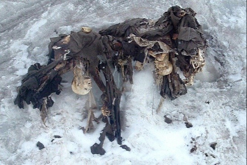 What the ice hides: 12 scary finds found in glaciers What the ice hides: 12 scary finds found in glaciers
