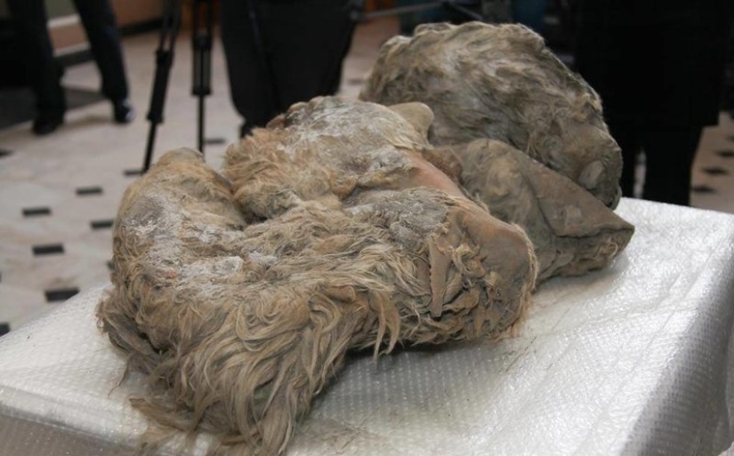 What the ice hides: 12 scary finds found in glaciers What the ice hides: 12 scary finds found in glaciers