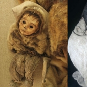 What the ice hides: 12 scary finds found in glaciers What the ice hides: 12 scary finds found in glaciers