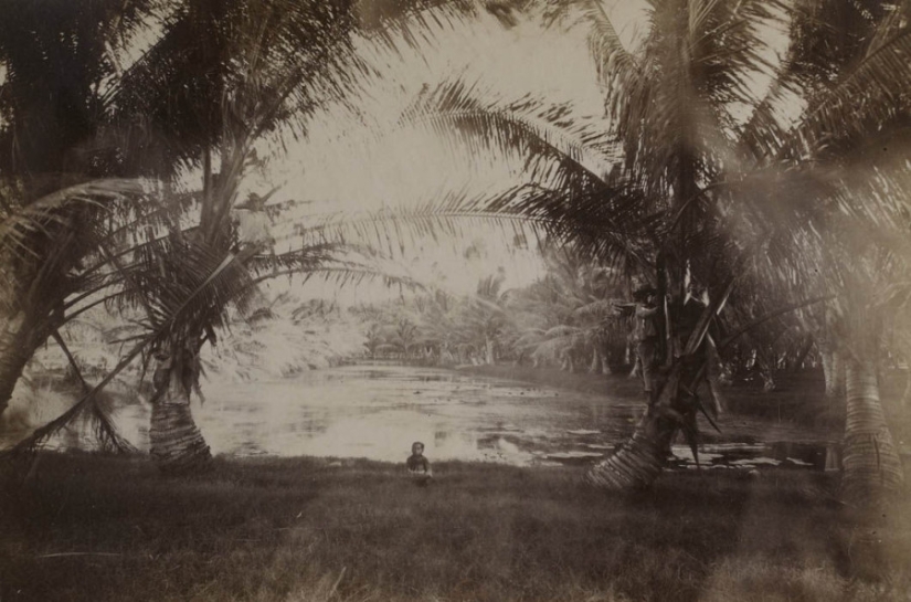 What the people of Hawaii looked like in the 19th century What the people of Hawaii looked like in the 19th century