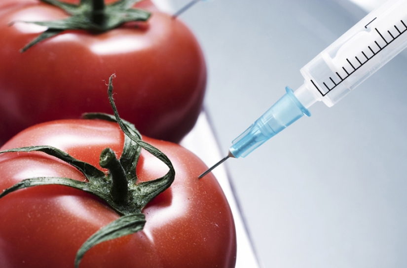 What they won't write on the labels: what you need to know about 10 "harmful" food additives What they won't write on the labels: what you need to know about 10 "harmful" food additives