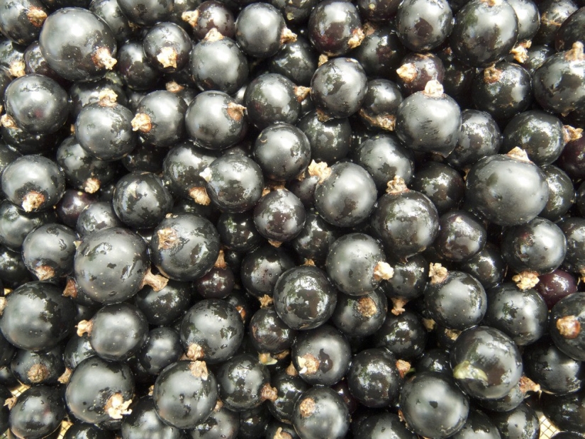 What to eat in the heat: 10 products for summer