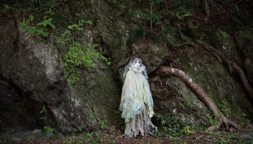 What's Hiding Behind Aokigahara: The Suicide Forest in the Heart of Japan