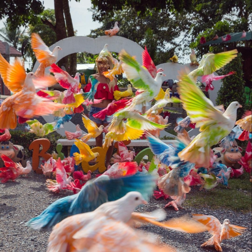 When the photographer goes on vacation When the photographer goes on vacation