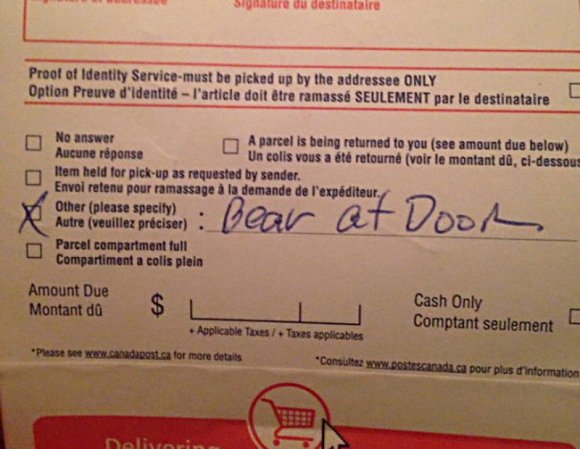 When the postman is not Pechkin: Epic Delivery service Blunders When the postman is not Pechkin: Epic Delivery service Blunders