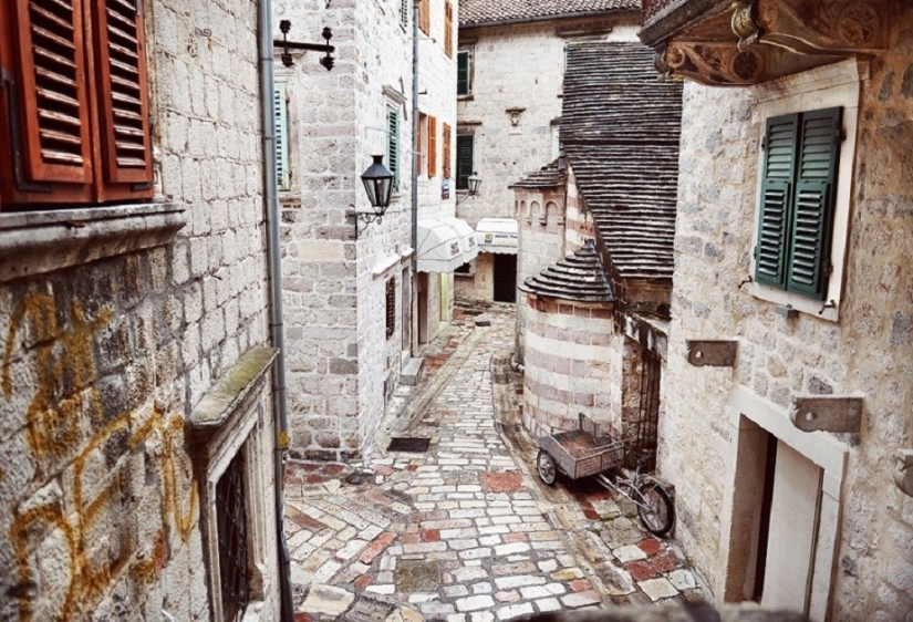 When you really want to go to Montenegro