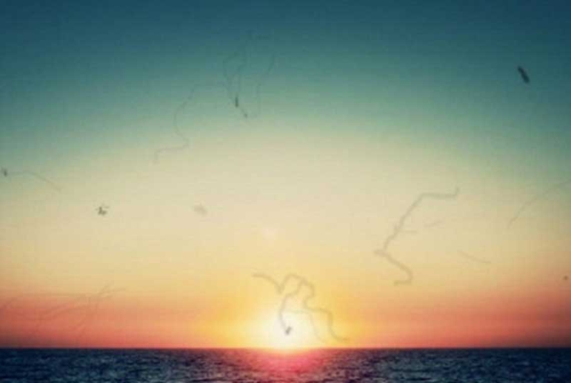 Where do the flies in the eyes come from and is it possible to get rid of them