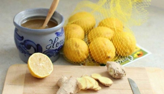 Who can't eat lemon, ginger, onion and garlic, and why