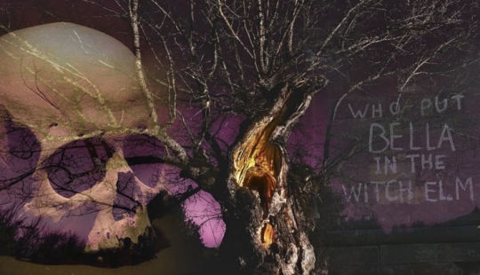 Who put Bella in the Witch's Elm? Britain's Most Mysterious Crime Who put Bella in the Witch's Elm? Britain's Most Mysterious Crime