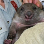 Who said that animals can't smile?