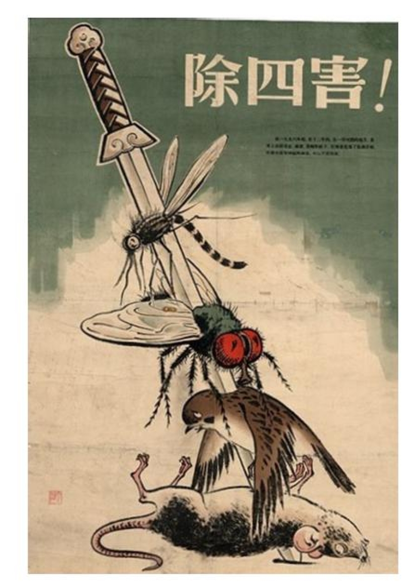 Who were the Red Guards of the Cultural Revolution Who were the Red Guards of the Cultural Revolution