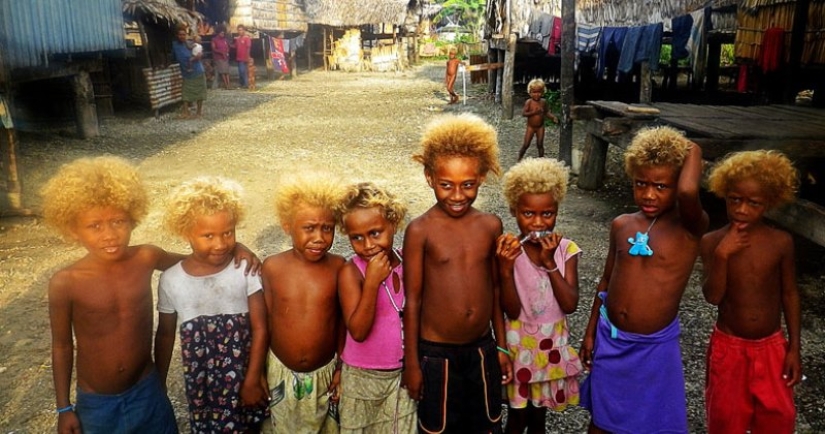 Why are dark-skinned blondes born in the Solomon Islands Why are dark-skinned blondes born in the Solomon Islands