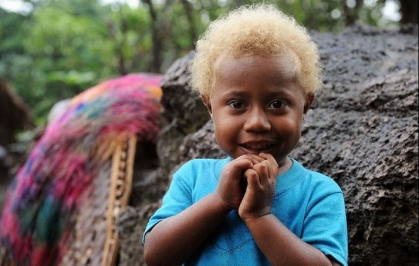 Why are dark-skinned blondes born in the Solomon Islands Why are dark-skinned blondes born in the Solomon Islands