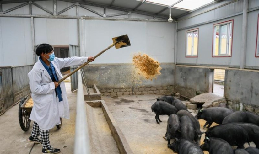 Why are there so many Chinese and does the increase in their population pose a threat to the planet?